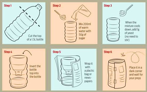perangkap nyamuk dari botol bekas