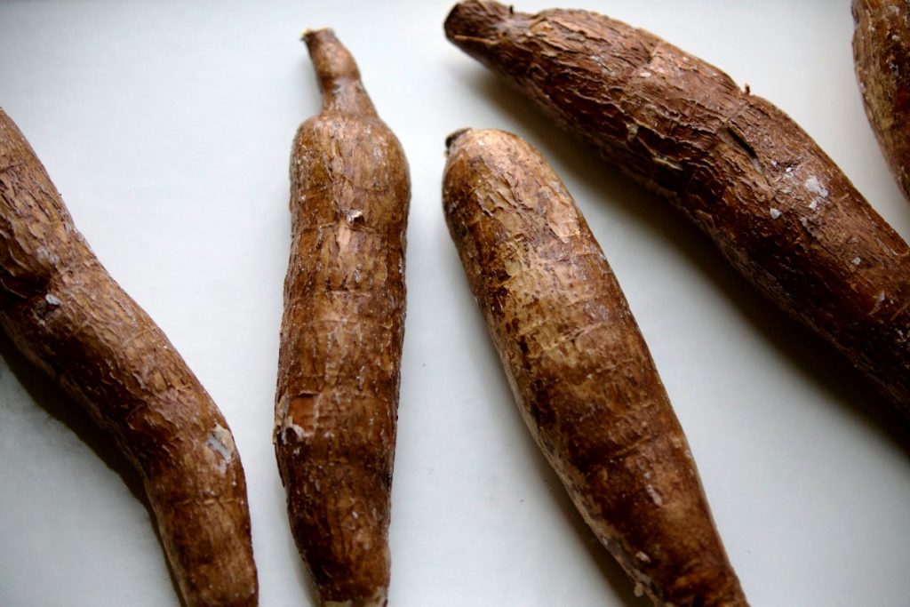 aneka olahan singkong modern