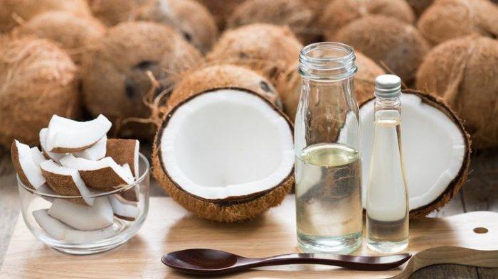 Cara Membuat Minyak Goreng Dari Kelapa