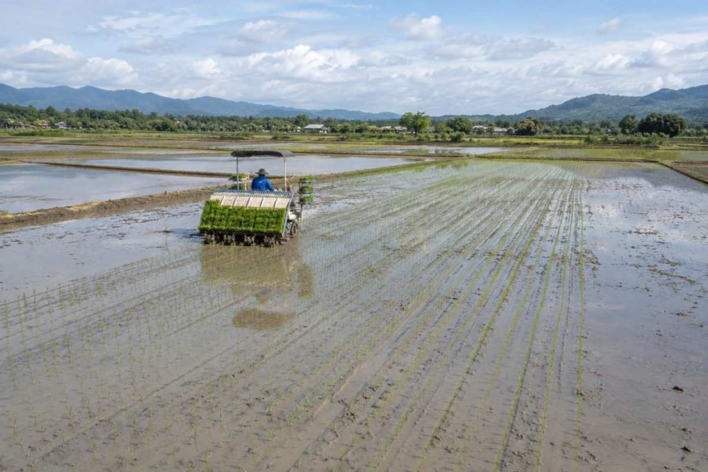Cara Menanam Padi dengan Mesin Rice Transplanter