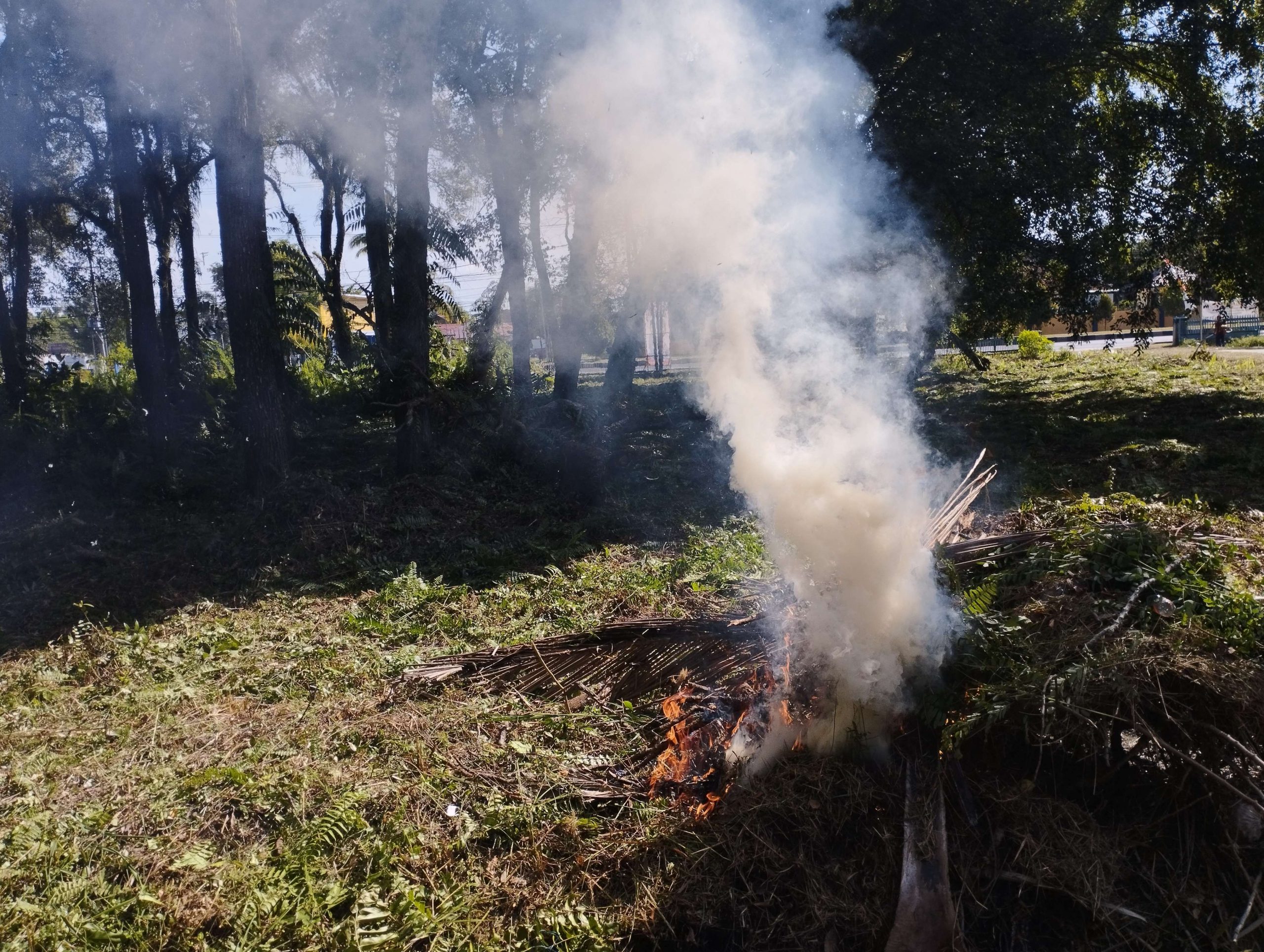 solusi bakar sampah tanpa asap