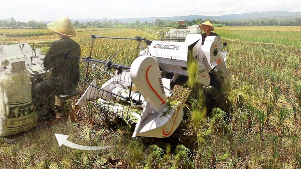 Panen Padi dengan Combine Harvester