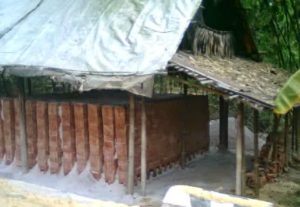 Mesin Pengolahan Sabut Kelapa 14