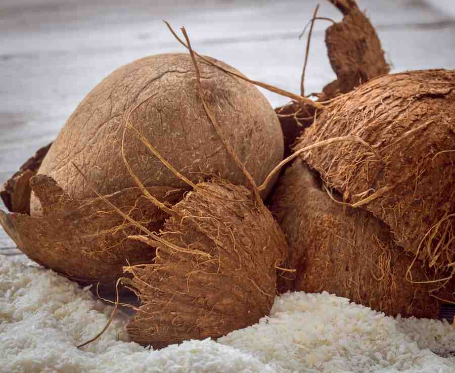 penggunaan mesin pirolis asap cair tempurung kelapa