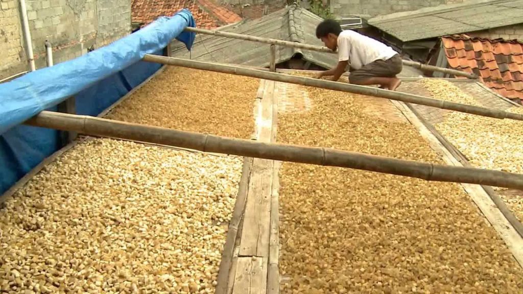 Kerupuk kulit rambak sapi