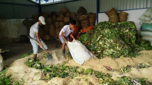 Mengolah Sampah  Organik  Menjadi  Kompos Secara Mudah