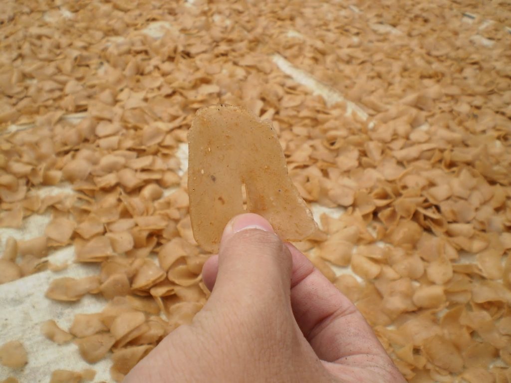 Cara Membuat Kerupuk Tulang Ikan Lele 