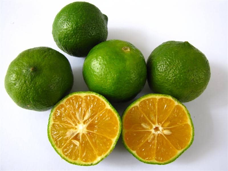 jeruk limau