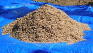 Fermentasi Pakan Ternak