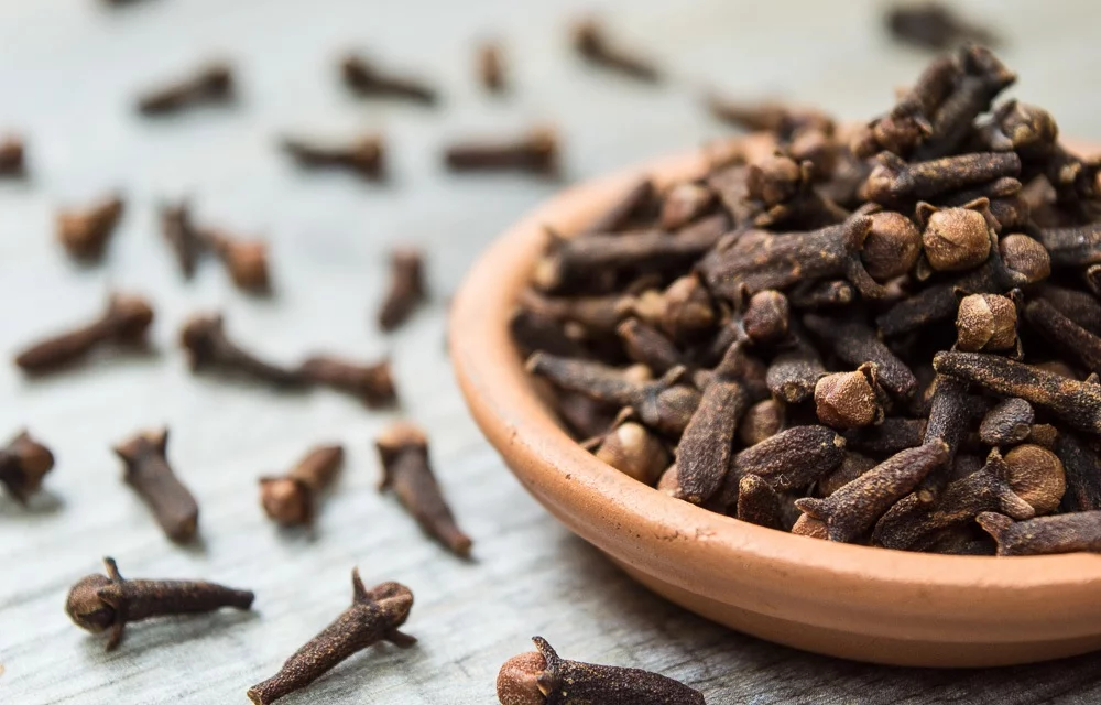 minyak cengkeh untuk sakit gigi