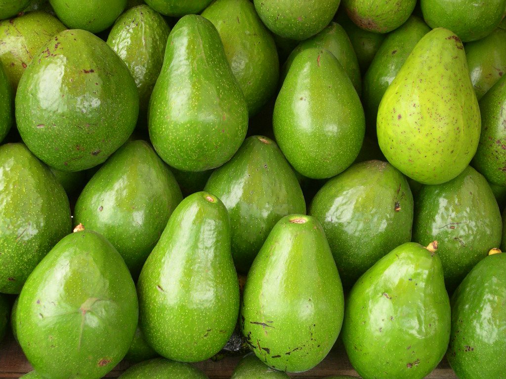 cara membuat jus alpukat
