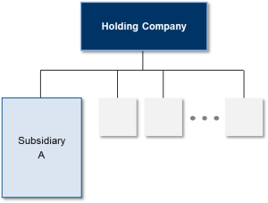 Ide Usaha Bumdes - Holding Company