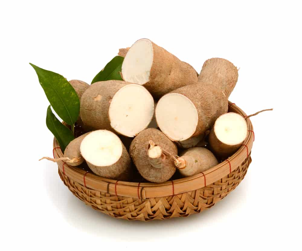 Kandungan nutrisi dan manfaat dari singkong