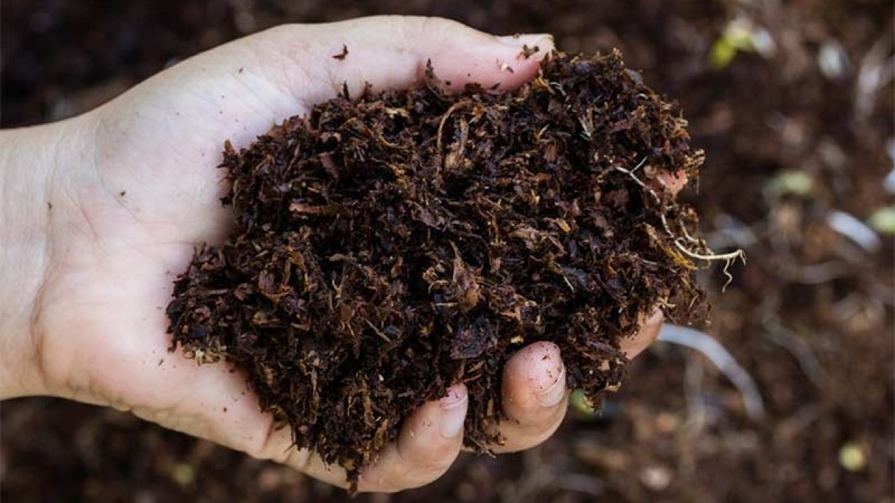 Cara Membuat Kompos Organik dengan Mudah tanpa Ribet