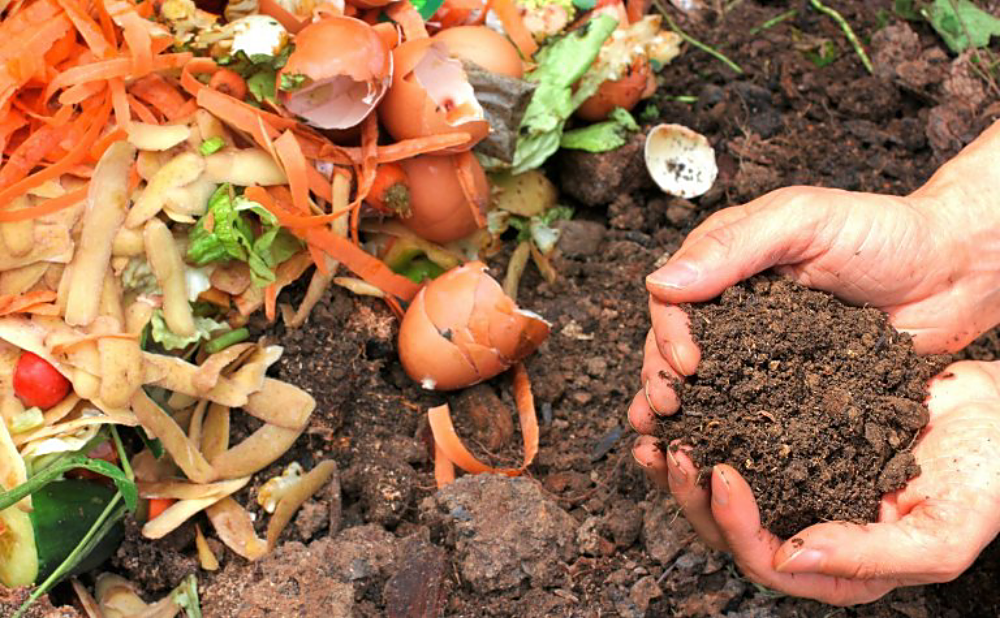  Cara  Membuat Tanah Kompos dari Bahan Sampah Organik 