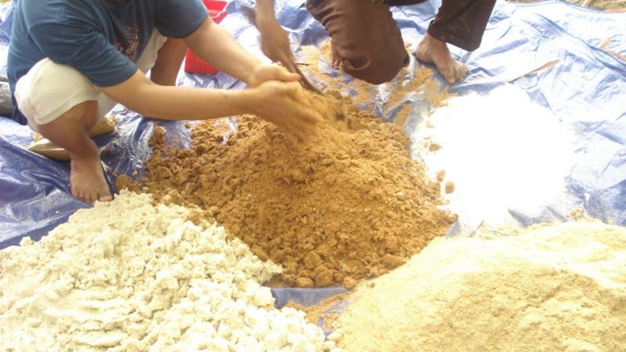 Pakan Ikan Nila Dari Dedak