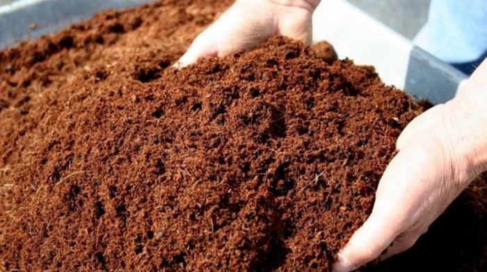 manfat cocopeat untuk tanaman