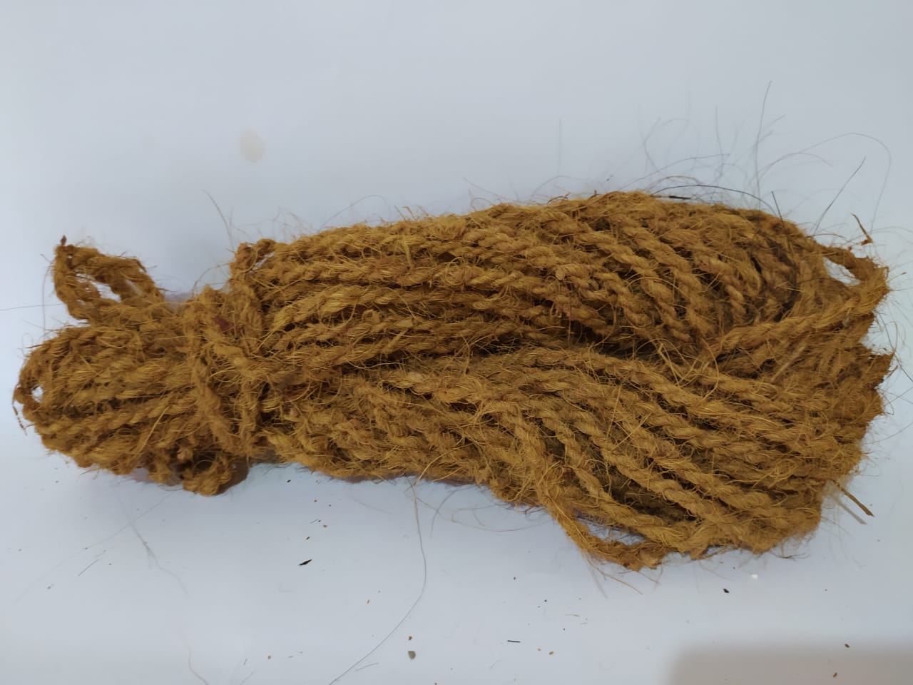 Definisi Sabut Kelapa