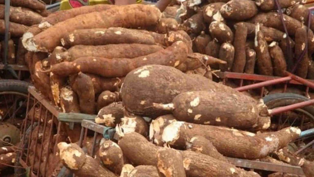 Olahan Singkong Parut