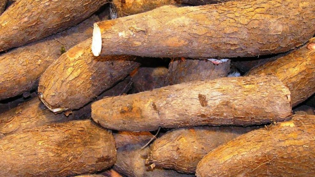 Resep Singkong Goreng