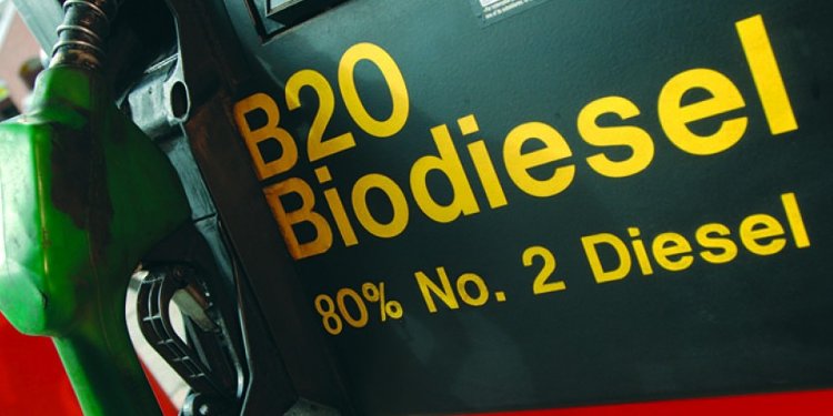 cara membuat coconut oil