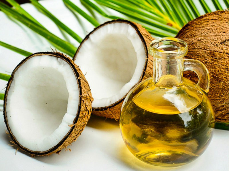 kegunaan pohon kelapa