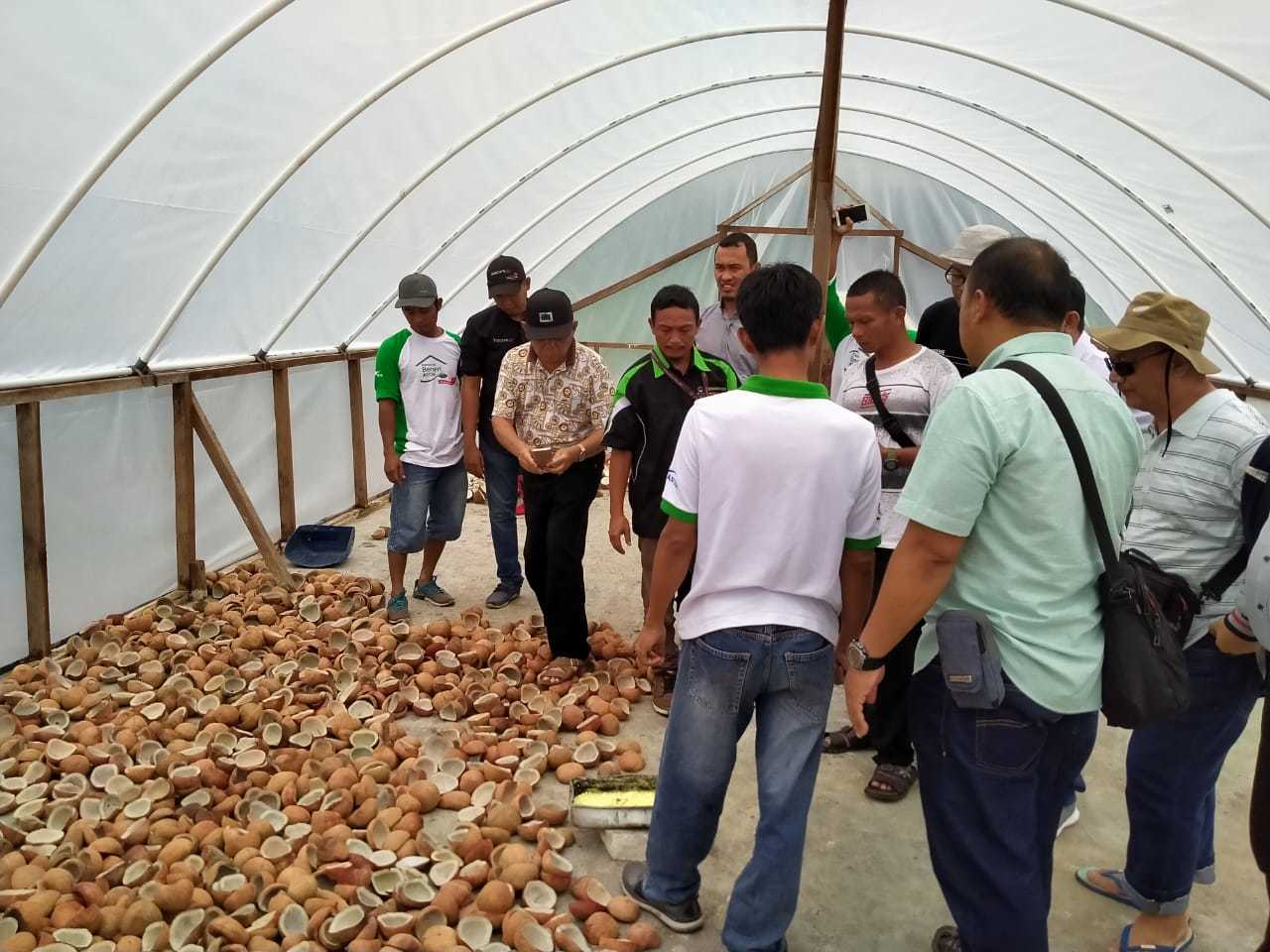 Cara Pengeringan Kopra