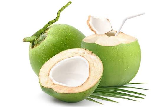 macam macam Kelapa