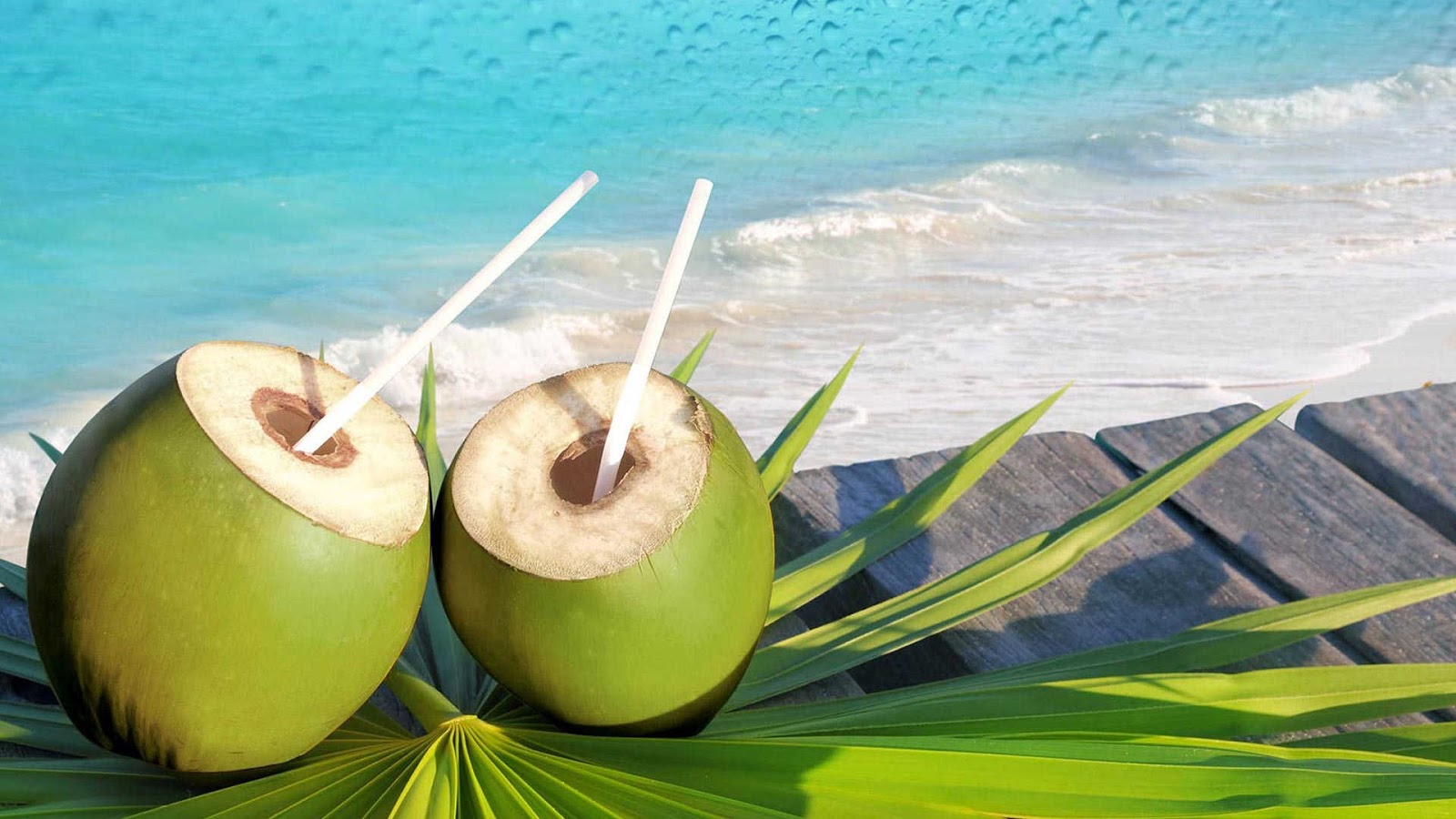 manfaat minum air kelapa muda