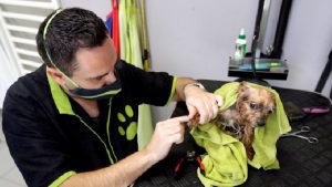 Peluang usaha yang belum banyak pesaing