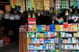 usaha yang cocok untuk pemula dipedesaan 