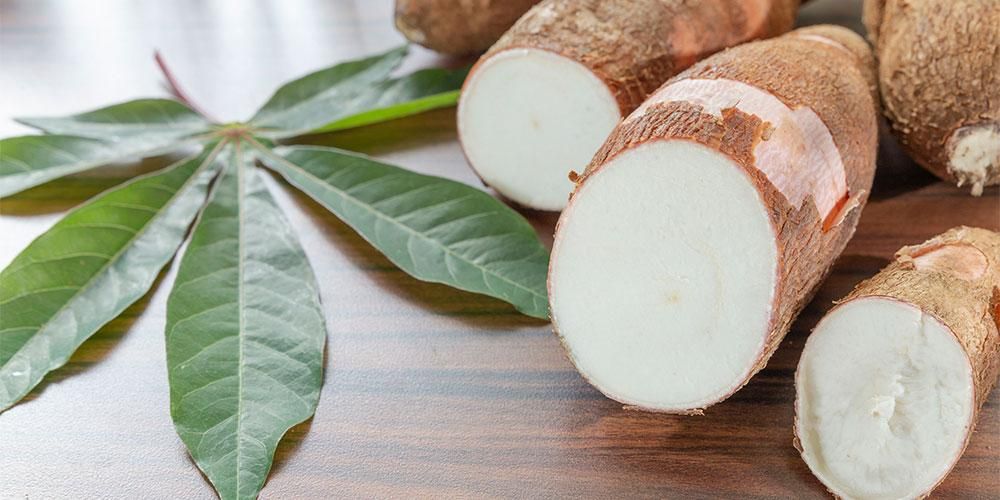 Memperkaya Info Tentang Jenis Singkong