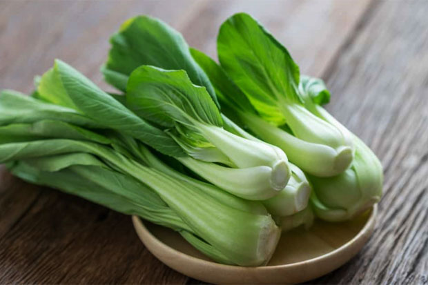 Peluang Bisnis Pertanian Yang Menjanjikan Yang Cocok Untuk Dicoba