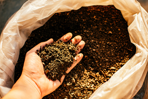 peluang usaha pupuk organik