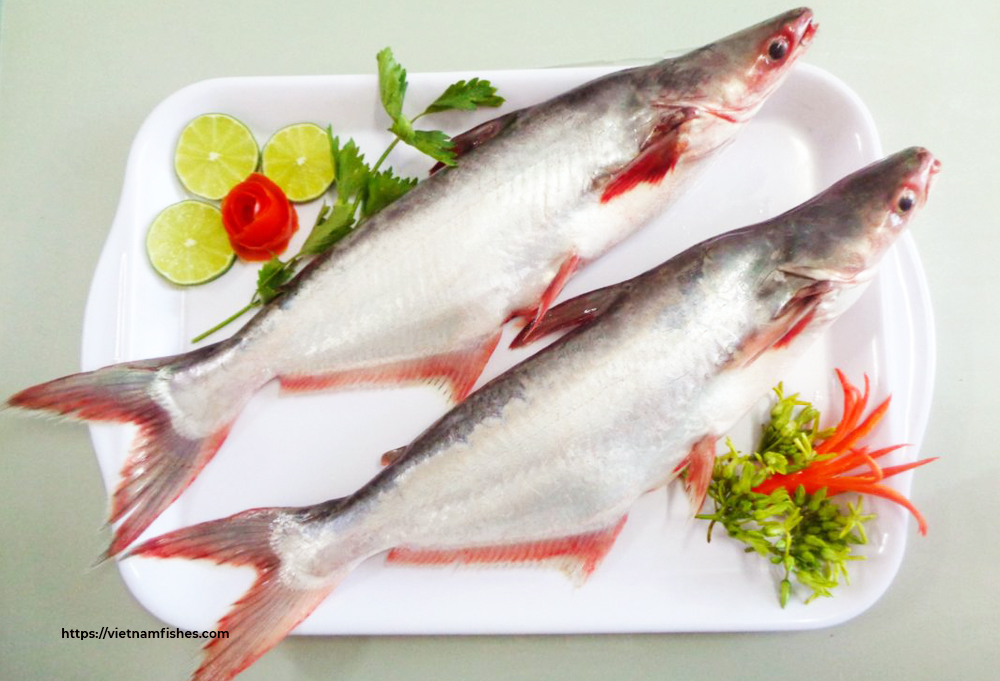 olahan-ikan-patin-kuah-santan