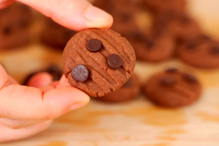 cara mengolah buah coklat