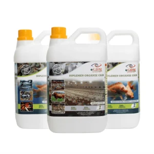 suplemen organik pakan sapi