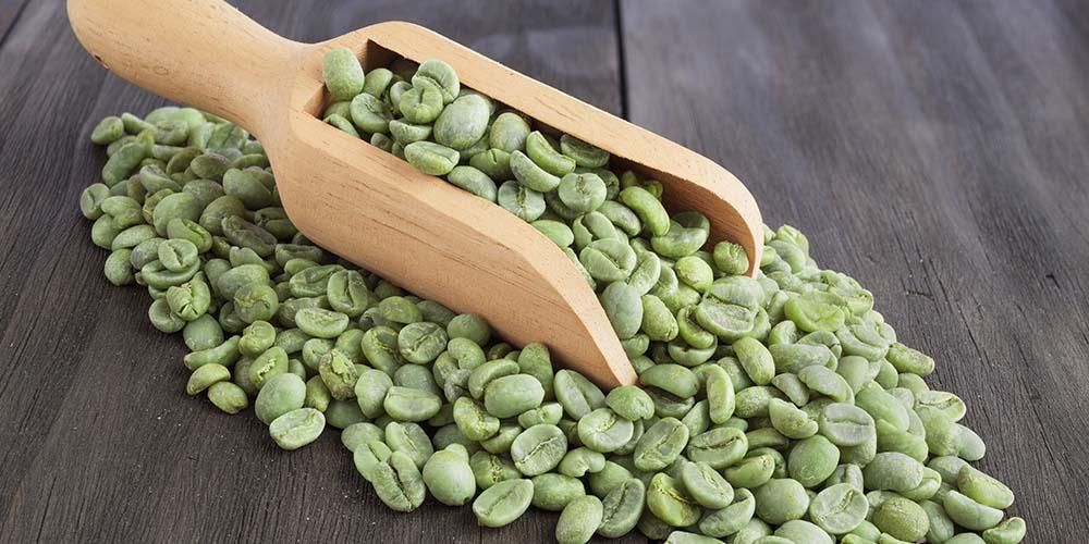 cara menyeduh green coffee