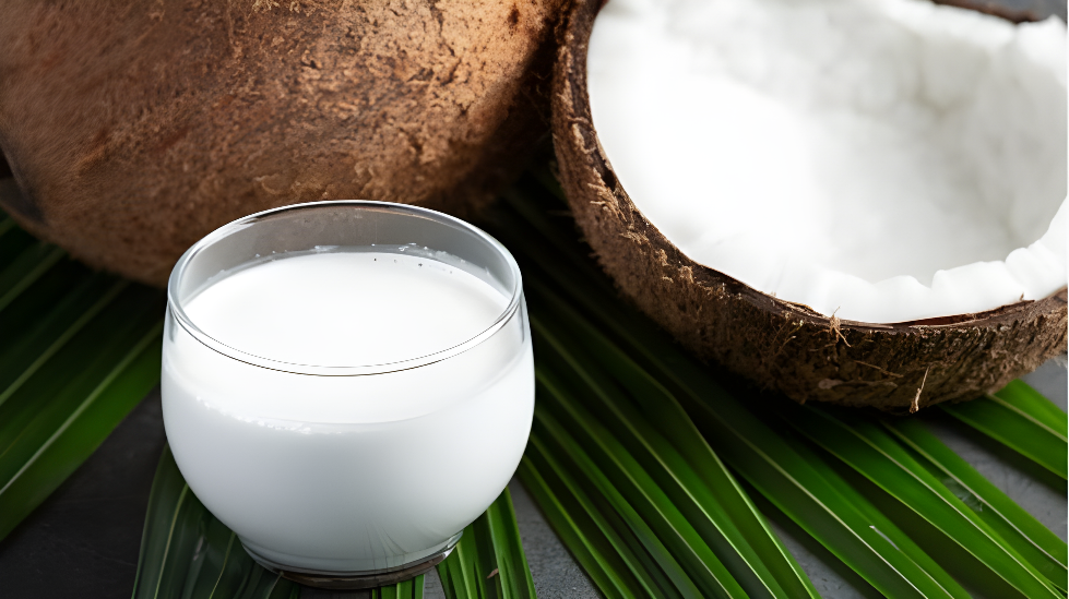 cara bisnis santan kelapa