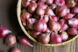 tips usaha bawang merah