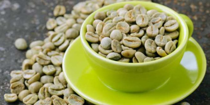 cara menyeduh green coffee