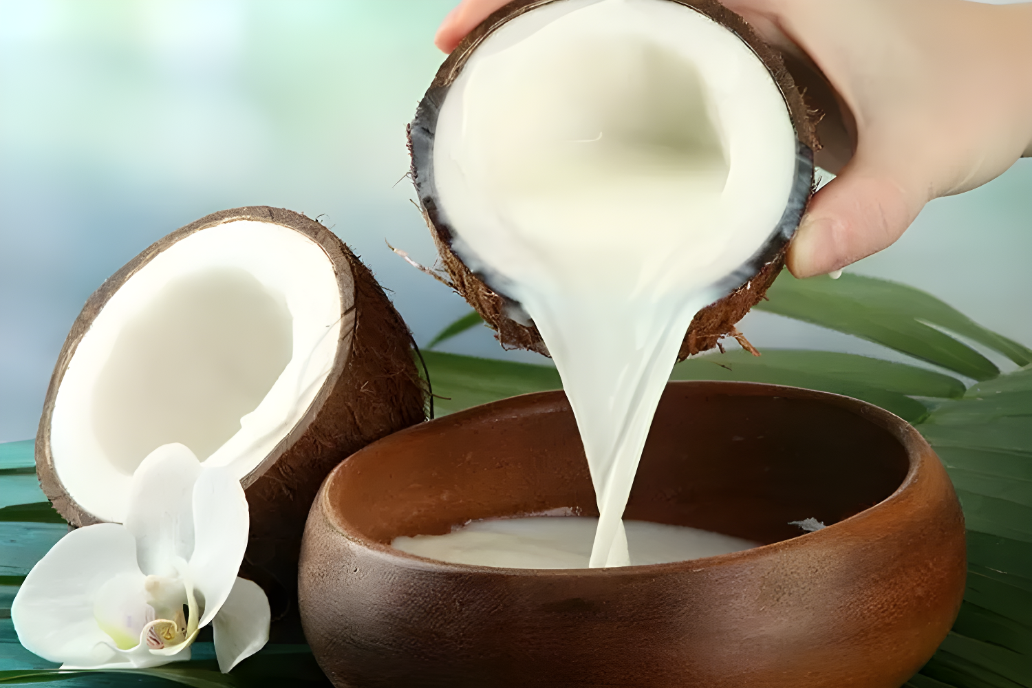 cara menyimpan santan agar awet