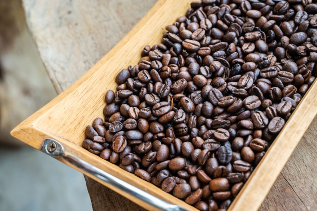 Jenis Kopi Arabika Yang Enak di Indonesia