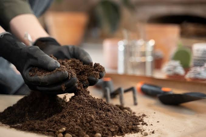 Kompos dari Daun Kering