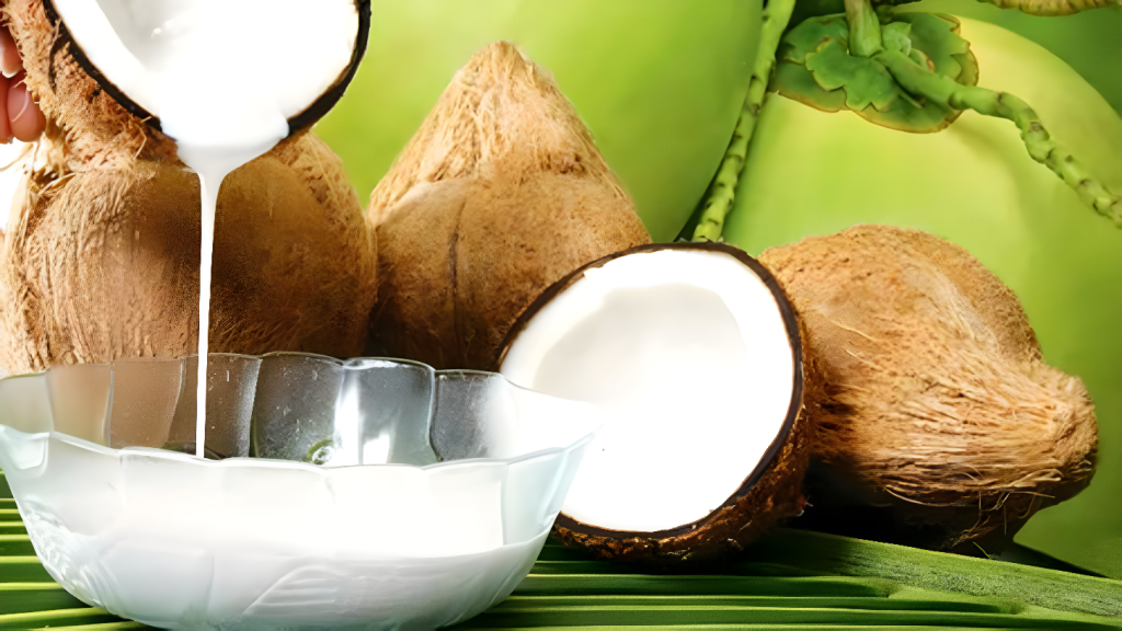 Keuntungan Usaha Santan Kelapa