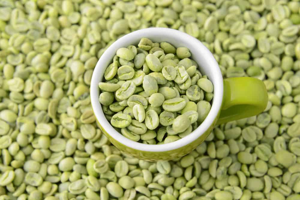 cara menyeduh green coffee