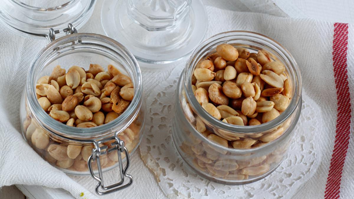 bisnis kacang bawang