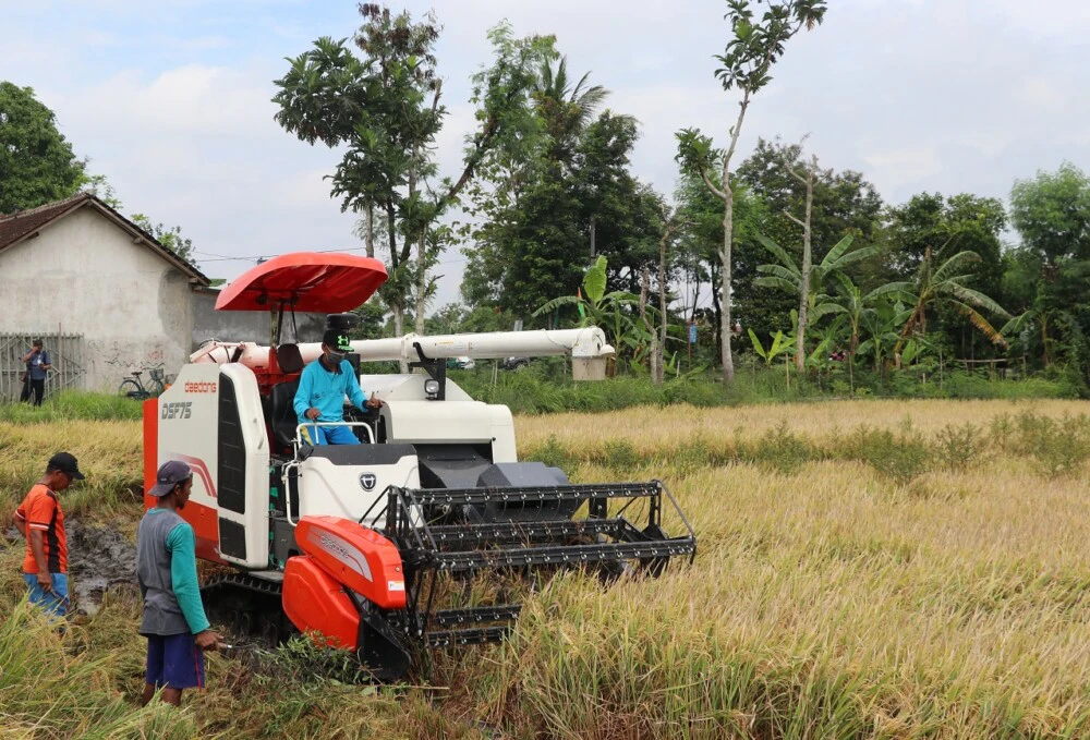 usaha penggilingan padi