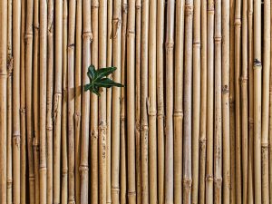 lampu hias dari bambu