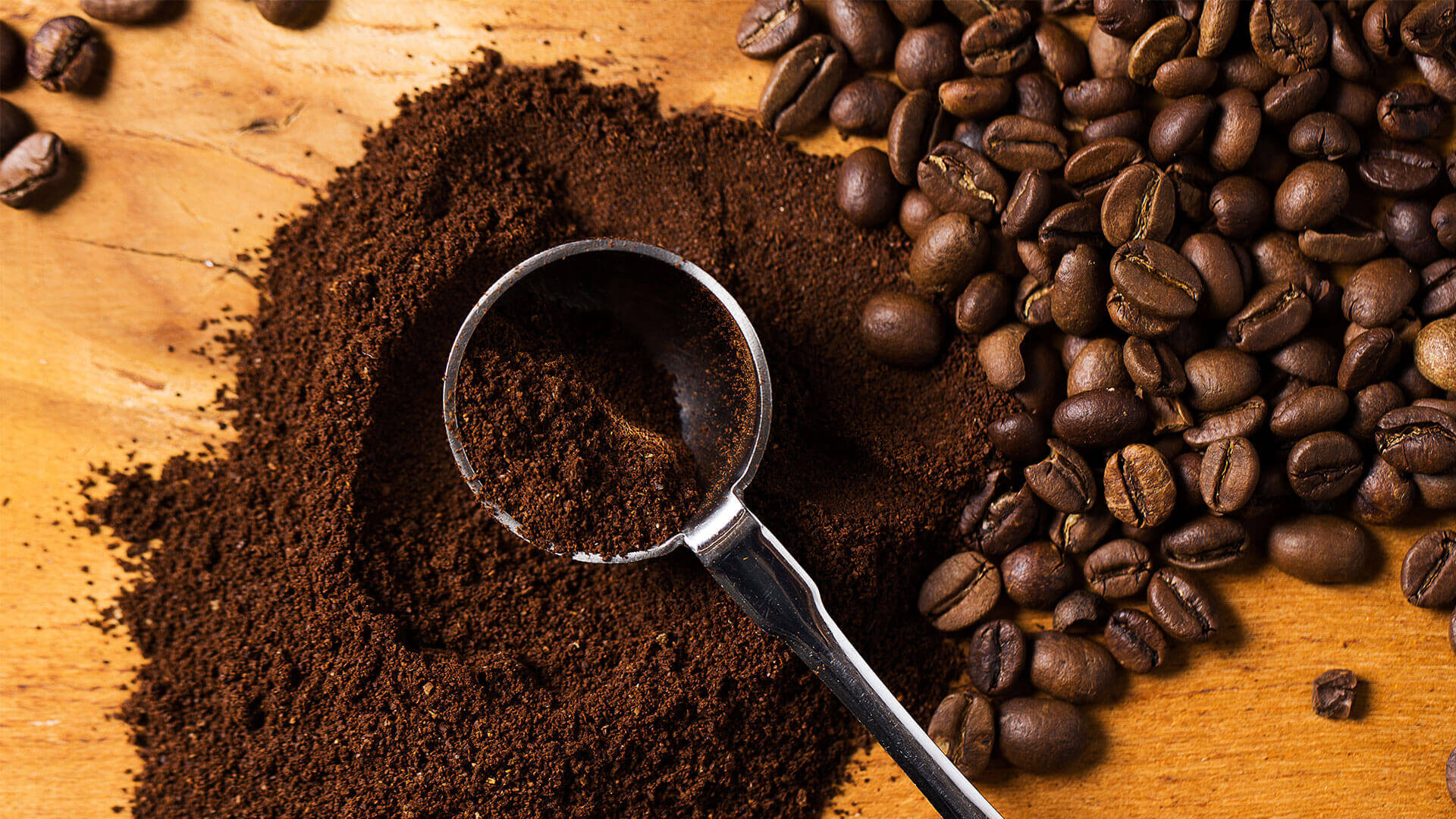 peluang bisnis kopi bubuk pemula